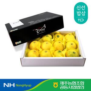[제주농협] 귤로장생 황금향 선물세트 2.5kg 4.5kg 가방포함