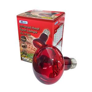 아마존 히팅 스팟 램프 100W 렙티주 파충류램프
