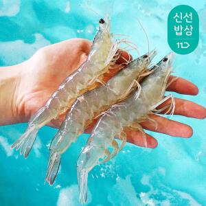 [더주] 신안 노지 활 흰다리새우 1kg (31~35미)/당일조업/흰다리새우