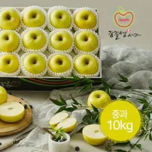 [장길영사과] 시나노 골드 10kg 중과(33~39과내)