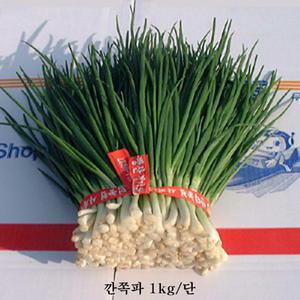 꼬레촌조미 파(깐쪽파)최상품 1kg/단
