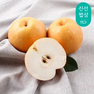 [품질보장]청년농부 햇 나주배 3kg 8-9과 가정용