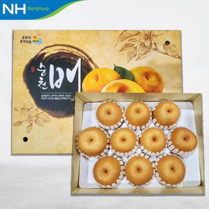 순천농협 신고배 5kg 선물세트
