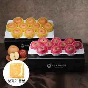 [롯데백화점]감동 청년농부 혼합 실속 과일선물세트(8kg 배5kg+사과3kg 각1box)