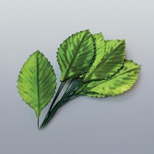[더원사이언스] 나뭇잎 모형 (잎부분 40개입) KSIC-10383/10383/나뭇잎 모형/5학년2학기/과학교구