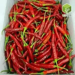 국내산 빨간 홍청양고추 특 10kg