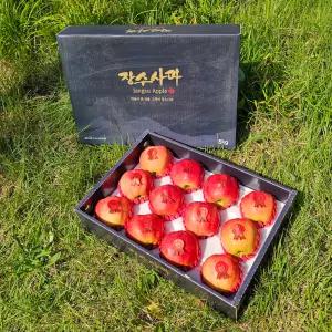 프리미엄 사과선물세트 명절장수사과선물 5KG 1박스