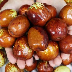 2025년 국내산 햇 사과대추 대사이즈 1kg 2kg 황제 왕대추