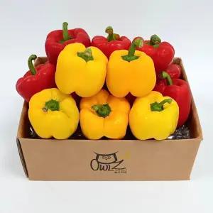 [올즈마켓]빨강 노랑 못난이 파프리카 사이즈/색상랜덤 2kg