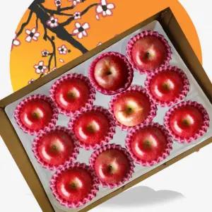 햇 홍로 25년도 과일선물세트맛있는사과 예산특대 사과 5킬로그램 선물용 백화점용 제수용 엔