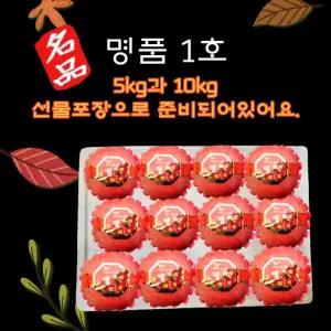 햇홍로출시예산명품사과 10킬로그램 선물용 제수용 특대사과 선물받는사람이 행복해하는사과