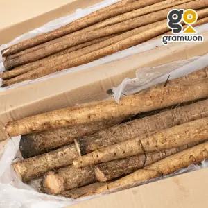 우엉 3L 10KG 중국산 통우엉 김밥재료 특품 식자재