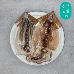 [은하수산] 손질 오징어 1.1kg (4-8미)