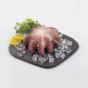 청정지역 고흥 자연산 돌문어 1kg