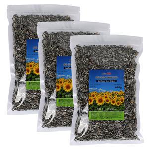 PetsOK 알찬 중소형 해바라기씨 600g x3개 앵무새 햄스터 다람쥐