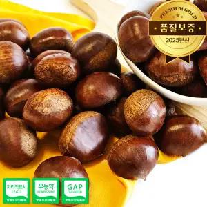 [25년산] 햇 공주 부여밤 대자 1kg