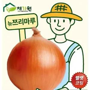 아시아종묘 씨앗 양파 뉴쯔리마루 5000립 펠렛