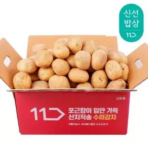 [품질보장] 25년산 햇 감자 대 3kg