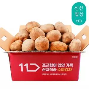 [품질보장] 25년산 햇 감자 특 3kg
