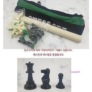 체스 체스말 세트 학생 보드 대형 게임 판 50x50 폴딩 휴대용 가방 규격 보관함 국제pqr604