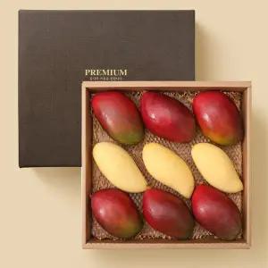 [Freshvalley][10/1일 오후 6시 주문마감] 프리미엄 망고 혼합 선물세트 3.3kg 내외 9입 / 태국망고3입,...