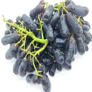 블랙 사파이어 포도 2kg
