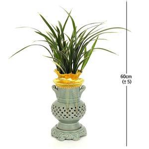 [서울/경기배송] 동양란황용금 624526 코스트코 잡화마켓