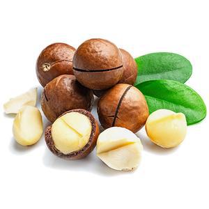통마카다미아 1Kg 까먹는 껍질 마카다미아 베트남 마카다미아추천 마카다미아효능 고품질너트 건강간식