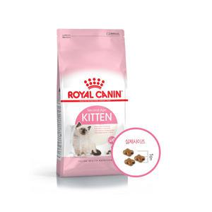 로얄캐닌 캣 키튼 2kg