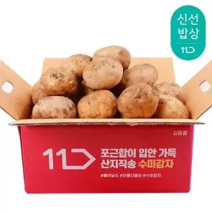 [품질보장] 25년산 햇 감자 왕특 5kg