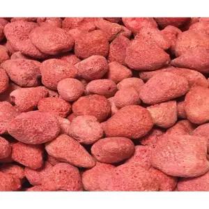 동결건조 과일칩 딸기칩 1kg