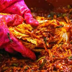 [천사푸드]100% 국내산 중부식 볶아먹으면 더 맛있는 당일제조 포기김치 10kg
