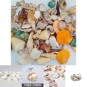 (250g 혼합) 천연 조개껍데기/공예/공작/꾸미기/꾸밈/다용도/여름/장식/만들기/DIY/공예용/공작용/꾸미기용
