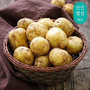 [최종혜택가10,790원]국내산 햇감자 (왕특) 3kg /포슬포슬 부드러운 감자/개당 160g~250g