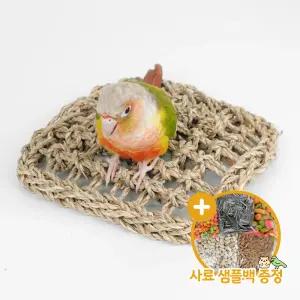 앵무새 해초매트 정사각 장난감 해먹 놀이터 용품 그네