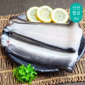[품질보장] 이순신수산 국내산 고창 자포니카 민물장어 1미 800g(손질후 550g내외)