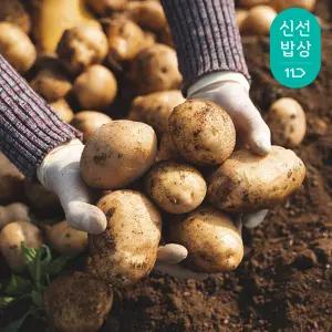 포슬포슬한 식감, 국내산 햇 감자 3kg 중 (실중량)
