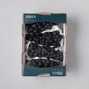 캠벨 포도 1.5kg 박스