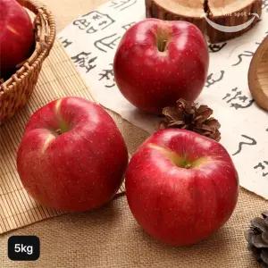내입에 못난이 햇사과 (홍로) 5kg