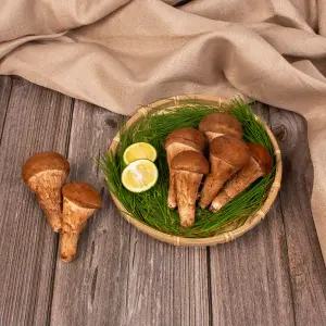 픽댓 참송이버섯 특A급 1kg