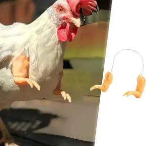[셀러에이드]티라노닭의손 반려닭 리얼한 재밌는 코디 닭팔달기