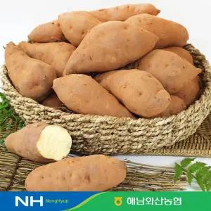 2025 화산농협 해남 황토 밤고구마 8kg(4kg*2박스)
