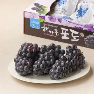 상주 캠벨포도 3kg 박스