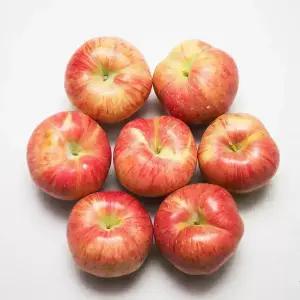 경북 햇사과 9kg 42~56과 소과/가정용/미색 상처과