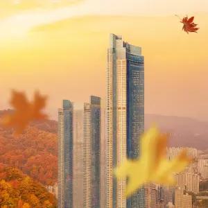 [부산] 엑스더스카이 전망대 추석맞이 입장권/해운대 데이트/전망대스타벅스/핫플/가볼만한곳/야경/경치/명소/감상