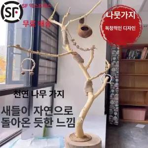 앵무새횟대 폴대타워 자바트리 대형 앵무새
