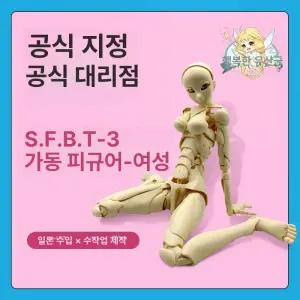 구체 관절 목각 장식소품 인체