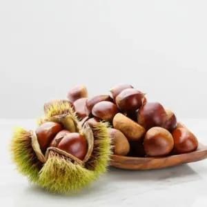부여 알밤 특대 수확 햇밤 1kg, 2kg, 3kg