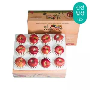 청송사과 정품 2.5kg 11-14/소과/팬캡포장 /홍로 햇사과