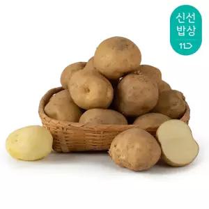 [최종혜택가13,950원] 국내산 햇감자 (대) 10kg /포슬포슬 부드러운 감자/개당 70-100g내외